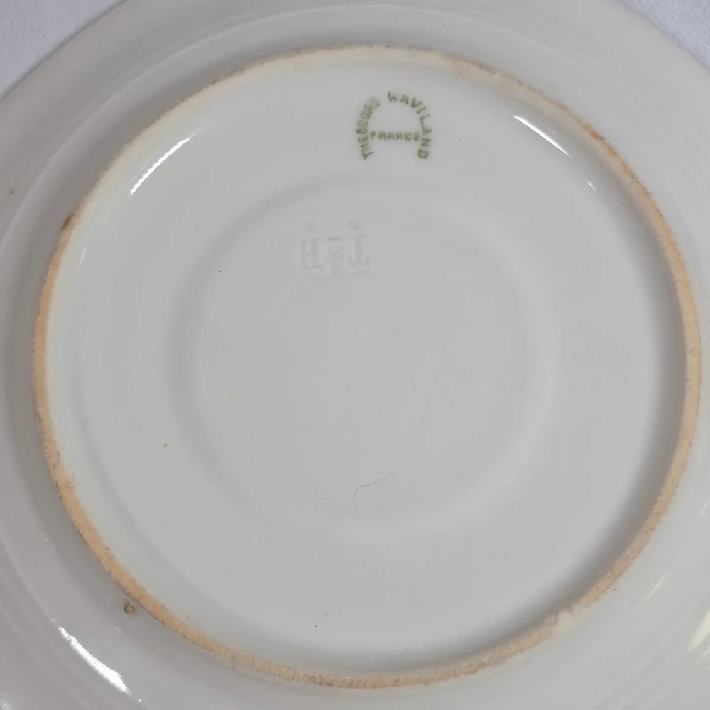 Theodore Haviland Limoges France Eden Bird of Paradise Teacup and Saucer Set